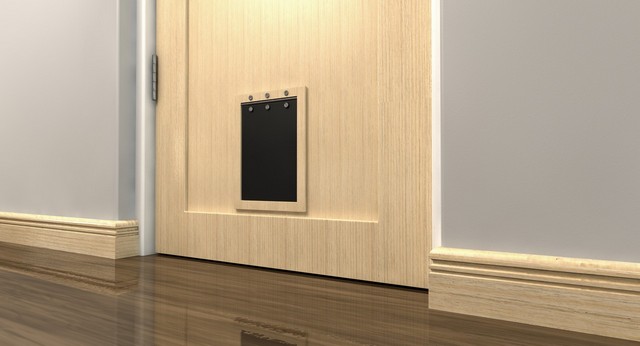 Cat Flap Installation Neasden, NW2